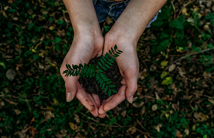 Prendre soin de l'environnement avec Artifort